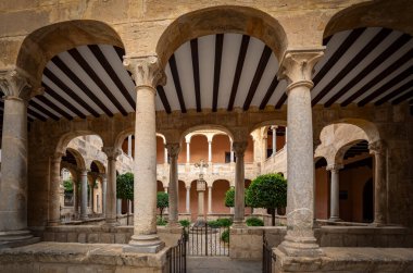 Cloister of the Orihuela cateral, Alicante, Valencian Community, Spain clipart