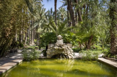 Elche 'deki Huerto del Cura' daki Elche Leydisi 'nin resminin olduğu su ve palmiye havuzu, Alicante, Valencia Topluluğu, İspanya, gündüz vakti.