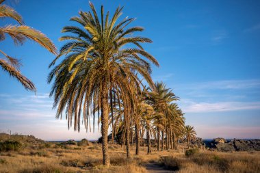 Cabo Cope ve Puntas de Calnegre Bölgesel Parkı 'ndaki Percheles plajının gün batımı manzarası