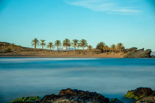 Cabo Cope ve Puntas de Calnegre Bölgesel Parkı 'ndaki Percheles plajının gün batımı manzarası uzun pozlu ve tipik palmiye ağaçları ile çekilmiştir.