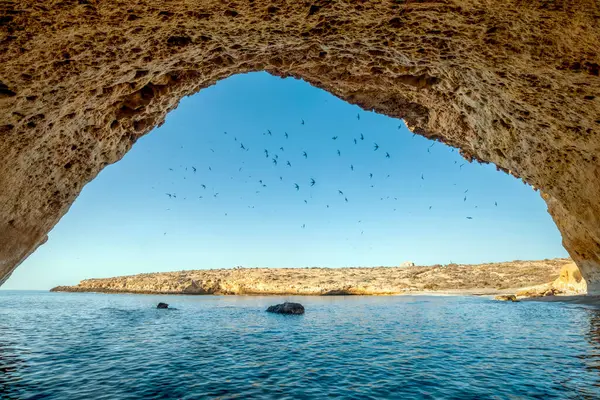 Cala Blanca plajı, Puntas de Calnegre bölge parkı, Murcia bölgesi, gökyüzünde kırlangıçlar olan büyük bir mağaradan.