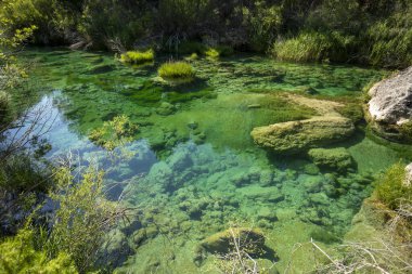 Tajo Nehri 'nin zümrüt yeşili suları Guadalajara, Castilla-la Mancha, İspanya' daki Alto Tajo Doğal Parkı 'ndan geçerken muhteşem kristal berraklığında.