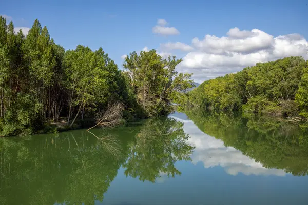 stock image View of the Ebro river with great flow and dense riverside forest between the provinces of Burgos and lava, Spain, with waters like a mirror