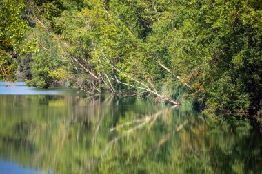 Ebro nehrinin geniş bir akışı ve yoğun nehir kenarı ormanı ile Burgos vilayetleri ile İspanya 'nın lav bölgeleri arasında ayna gibi suları olan manzarası.