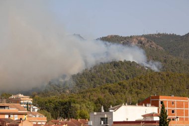 İspanya 'nın La Alberca kentindeki El Valle doğal parkında 1 Ağustos 2024 Perşembe günü saat 17.00 sıralarında yangın ilan edildi..