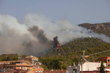 La Alberca, Murcia, İspanya, 1 Ağustos 2024, El Valle doğal parkında saat 17.00 sıralarında yangın ilan edildi..