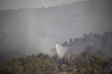 La Alberca, Murcia, İspanya, 1 Ağustos 2024, El Valle doğal parkında saat 17.00 sıralarında yangın ilan edildi..