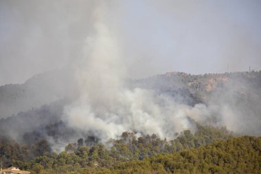 La Alberca, Murcia, İspanya, 1 Ağustos 2024, El Valle doğal parkında saat 17.00 sıralarında yangın ilan edildi..