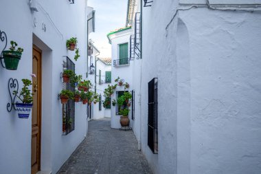 Eski Priego de Crdoba, Cordoba, Endülüs, İspanya 'daki tipik cadde. İnsansız ve gün ışığında.