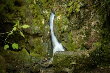 Pozo Alcon, Jaen, Endülüs, İspanya 'daki Büyülü İncir Ormanı' nın köşesinde küçük bir şelale.