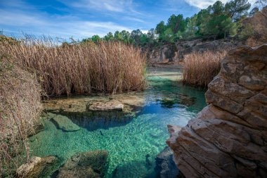 Fuente del Gorgotn, Segura Nehri 'ne ulaşan Almadenes Kanyonu, Cieza, Murcia Bölgesi' ndeki berrak sularıyla
