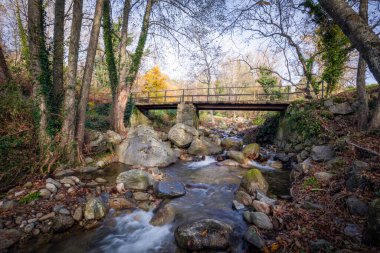 Section of the Entrerios route with the Zarzoso river and the riverside forest in the town of El Arenal, in Avila, Castilla y Len, Spain, in autumn clipart