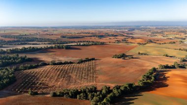 İspanya 'nın Castilla-La Mancha bölgesindeki Cuenca bölgesindeki renkli ekin tarlalarının hava manzarası