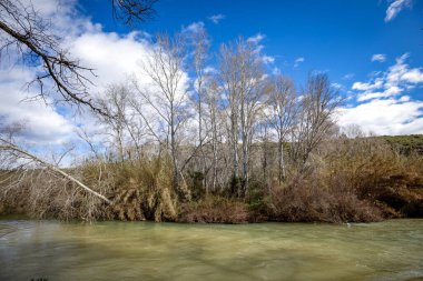 İspanya 'nın başkenti Murcia' nın Calasparra bölgesindeki Caaverosa Ormanları 'nın kışın Segura Nehri ile kesiminin manzarası.
