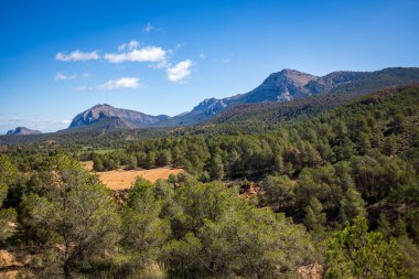 İspanya 'nın Murcia bölgesindeki Sierra Espua' nın kuzeybatı kesimine bakın. Kayalık oluşumları ve güneşli bir günde yamaçlarında tipik bir çam ormanı var.