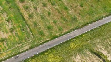 Murcia, İspanya 'nın merkezinde, bahar yağmurlarından sonra yeşile dönen kırsal bir tarım arazisinin havadan görünüşü..