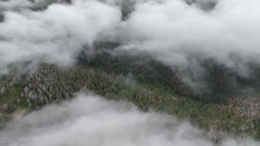 İspanya, Murcia 'daki El Valle ve Carrascoy Doğal Parkı' nın güzel hava manzarası, çam ormanı ve bulutlarıyla