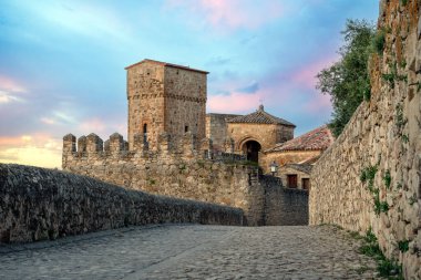 Trujillo, Cceres, Extremadura, İspanya 'nın tarihi merkezinde arka planda anıtsal binaları bulunan kaldırımlı bir cadde.