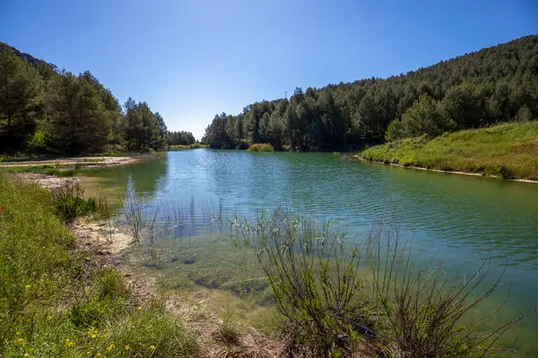 Bullas ve Mula arasındaki Manzano Gölü 'nün manzarası. Sabah ışığı ve güzel bulutlarla dolu huzurlu bir doğal ortam.