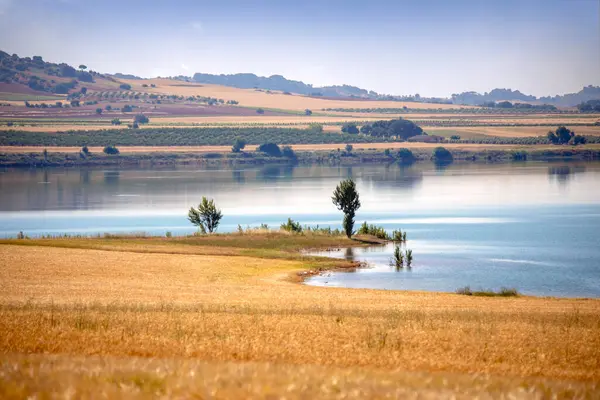 İspanya 'da, Cuenca, Castilla-La Mancha' da bulunan Alarcn rezervuarının ılıman yaz manzarası.