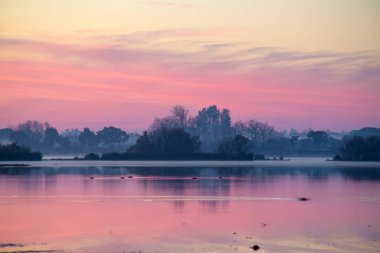 Doana Ulusal Parkı, Huelva, Endülüs, İspanya 'daki El Rocio bataklıklarının muhteşem pembe manzarası.