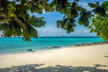 Phi Phi Adaları 'ndaki Bambu Adası' ndaki Cennet Sahili, Hat NopPharat Thara Ulusal Parkı - Mu Ko Phi Phi, Krabi, Tayland
