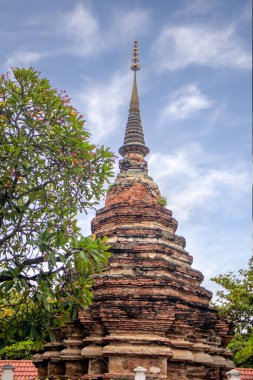 Chiang Mai, Tayland 'daki antik Wat Jetli tapınağının dikey görüntüsü
