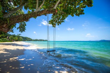 Tayland, Krabi 'deki Tubkaek' in cennet plajında bir manolya ağacında sallanıyor.