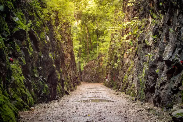 Kanchanaburi, Tayland 'da savaş esirleri tarafından inşa edilen ünlü Hellfire Geçidi.