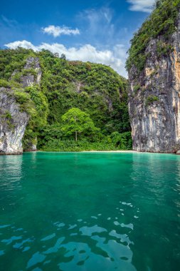 Şeffaf zümrüt sularıyla Koh Hong, Krabi, Tayland 'ın cennet adasının dikey görüntüsü..