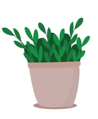 Plant in pot vector. Botany flat illustration