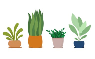 House plants vector set. Green leaves. Gardening concept
