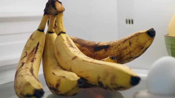 Food Fridge Bananas Eggs Cheese Ingredients Keeping Cold — Stock Video