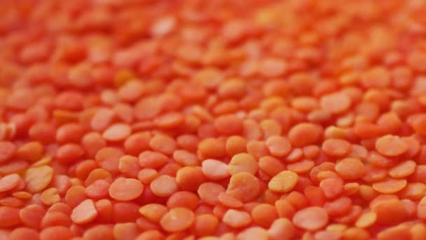 Textura Lentilha Vermelha Proteína Vegana Fundo Alimentar — Vídeo de Stock