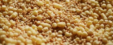 Amaranth mısır gevreği dokusu. Sağlıklı kahvaltı kavramı