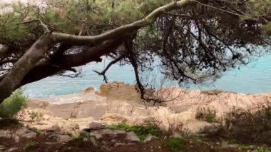 Hırvat deniz manzarası. Adriyatik Denizi tatili. Avrupa 'da seyahat