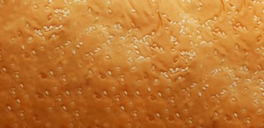 Hamburger ekmeği dokusu. Susam tohumları. Fırın arka planı