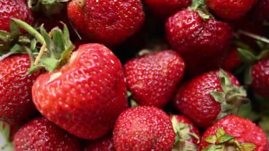 Çilek deseni. Yaz çileği arkaplan videosu