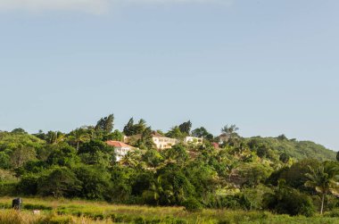 Güzel gökyüzü küçük bir tepenin üzerinde sarkıyor. Etrafı gür ağaçlarla çevrili evler..