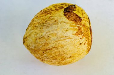 Beyaz arka planda bir avokado tohumu var