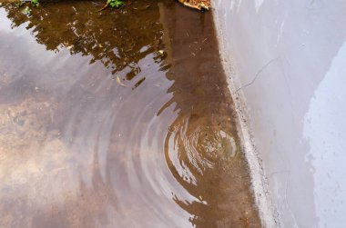 Duvarın kenarındaki su birikintisi, su damlacıklarının yüzeye inmesiyle dalgalanır..