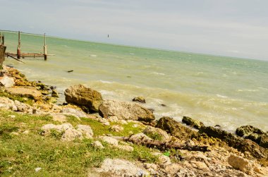 Deniz cephesinde parlak ve güneşli bir gün. Yumuşak dalgalar kıyılara yuvarlanırken ve yosun kaplı kayalar üzerinde çimenli kara ve su kütlesi sınırında..