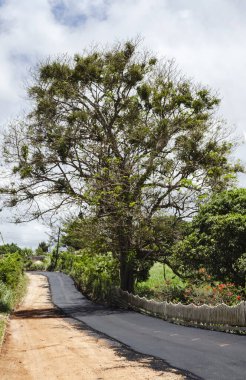 İnşaat halindeki yolun yarısı asfaltlanırken, gerisi mermerle kaplanıyor..