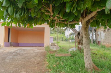 Eş değiştiren, avludaki bir yaban ördeği ağacında sallanıyor..