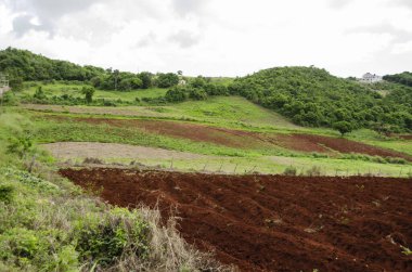 This is a landscape of trees, grass and ploughed land for agriculture. clipart