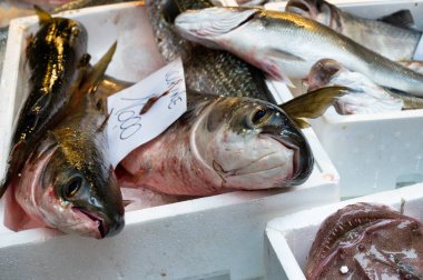 İtalya 'nın Venedik kentindeki bir balık pazarında taze balık sergilendi..