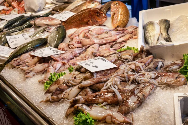 Tintenfische Und Andere Frische Fische Auf Einem Fischmarkt Venedig Italien — Stockfoto
