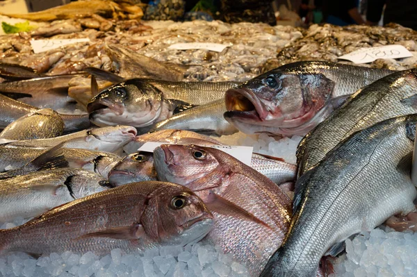 Pesce Fresco Esposto Sul Ghiaccio Mercato Del Pesce Venezia — Foto Stock