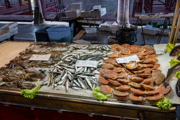Venedig Italien Februar 2023 Frischer Fisch Auf Dem Rialto Fischmarkt — Stockfoto