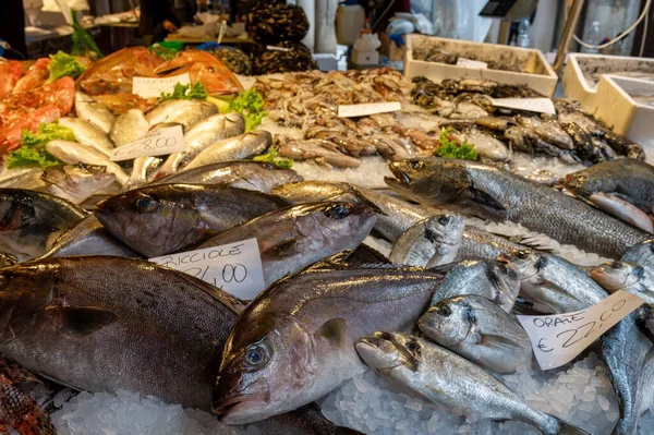 Venice Italy Feb 2023 Fresh Fish Showed Rialto Fish Market — 스톡 사진
